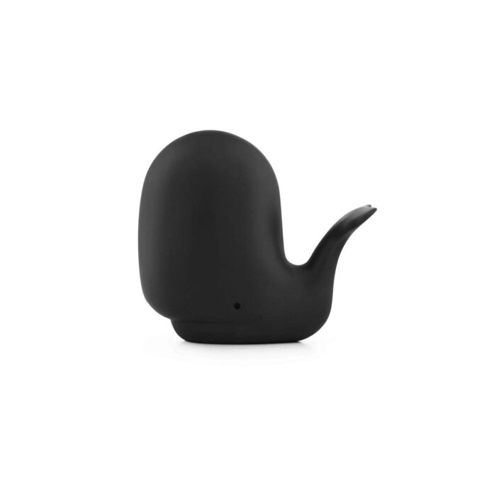 Happy Whale