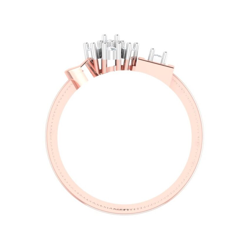 RFJ-SS-FR-01 - Image 4
