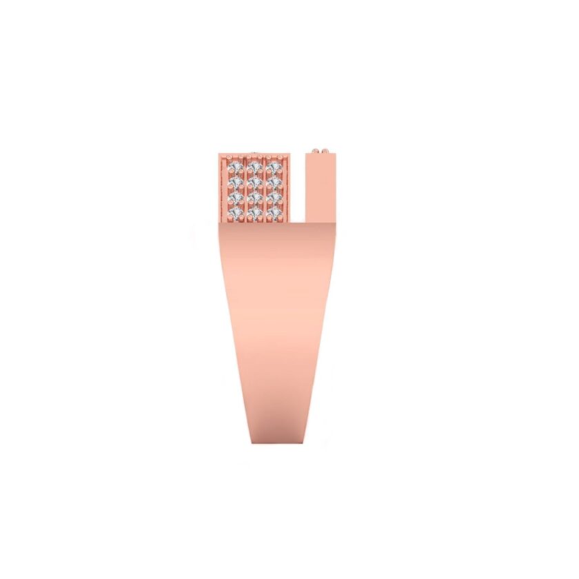 RFJ-IJ-GR-03 - Image 3