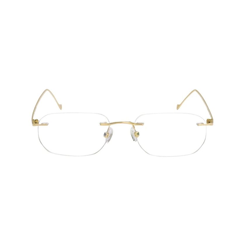 RFJ-SF-001 - Image 2